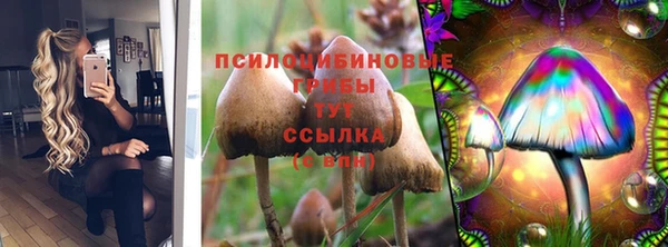 jwh Аркадак