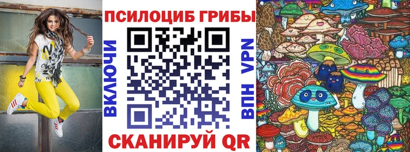 площадка как зайти где можно купить наркотик Сергач Псилоцибиновые грибы Cubensis blacksprut рабочий сайт